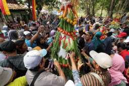 Sejumlah warga berebut gunungan hasil panen berupa sayur dan buah saat Tradisi Sadranan di Sendang Logantung, Semin, Gunungkidul, D I Yogyakarta, 29 Juli 2026.  Berita Foto/Patrik Cahyo Lumintu